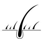 Permanent, Natural Hair Growth